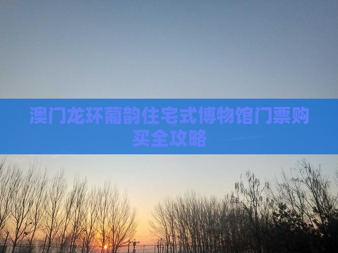 澳门龙环葡韵住宅式博物馆门票购买全攻略