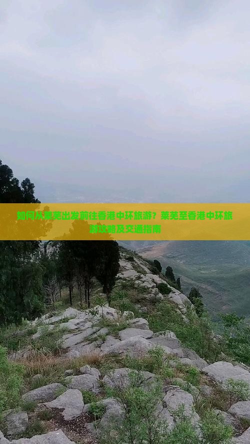 如何从莱芜出发前往香港中环旅游？莱芜至香港中环旅游攻略及交通指南