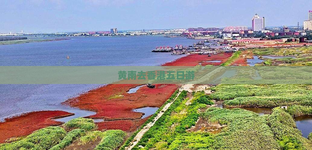 黄南去香港五日游