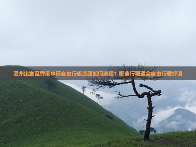 温州出发至香港中环自由行旅游团如何选择？哪些行程适合自由行爱好湛