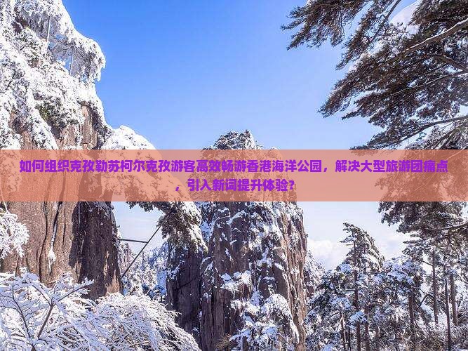 如何组织克孜勒苏柯尔克孜游客高效畅游香港海洋公园，解决大型旅游团痛点，引入新词提升体验？