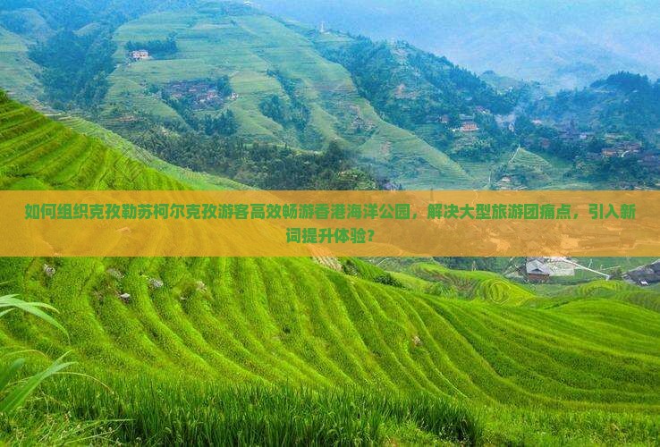 如何组织克孜勒苏柯尔克孜游客高效畅游香港海洋公园，解决大型旅游团痛点，引入新词提升体验？