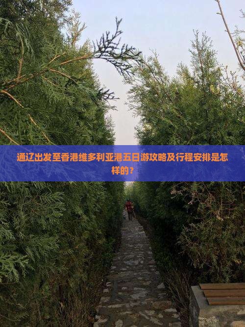 通辽出发至香港维多利亚港五日游攻略及行程安排是怎样的？