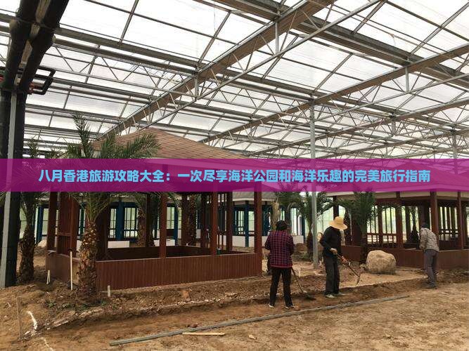 八月香港旅游攻略大全：一次尽享海洋公园和海洋乐趣的完美旅行指南