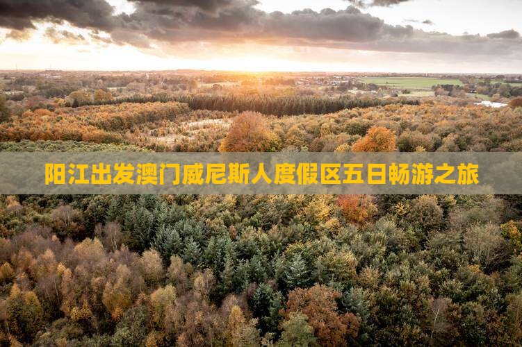 阳江出发澳门威尼斯人度假区五日畅游之旅