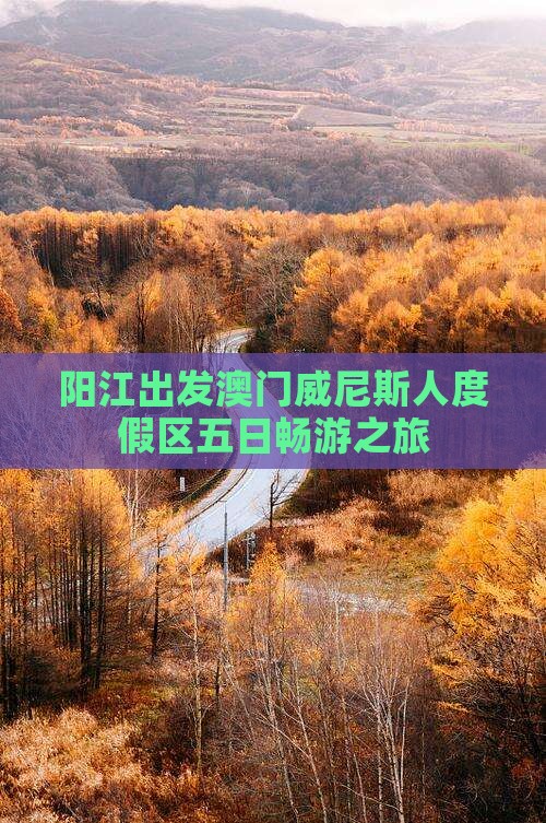 阳江出发澳门威尼斯人度假区五日畅游之旅