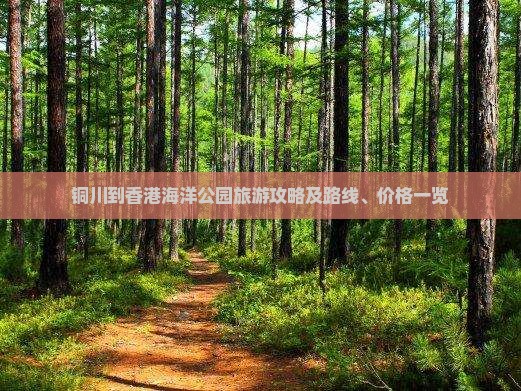 铜川到香港海洋公园旅游攻略及路线、价格一览