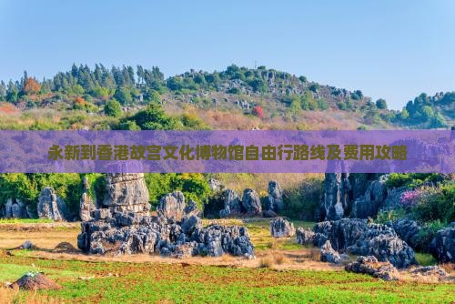 永新到香港故宫文化博物馆自由行路线及费用攻略
