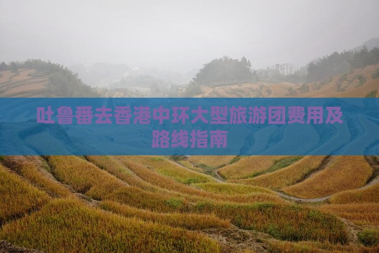 吐鲁番去香港中环大型旅游团费用及路线指南
