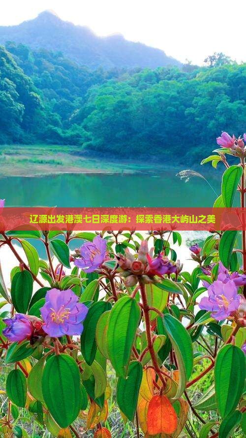 辽源出发港澳七日深度游：探索香港大屿山之美