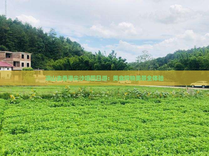 凉山去香港尖沙咀四日游：美食购物美景全体验