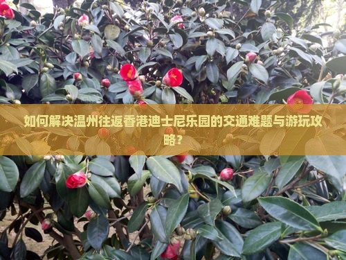 如何解决温州往返香港迪士尼乐园的交通难题与游玩攻略？