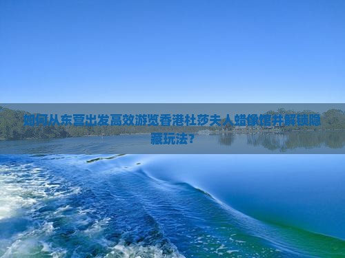 如何从东营出发高效游览香港杜莎夫人蜡像馆并解锁隐藏玩法？