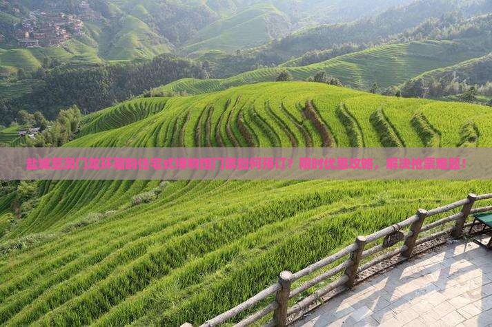 盐城至澳门龙环葡韵住宅式博物馆门票如何预订？限时优惠攻略，解决抢票难题！