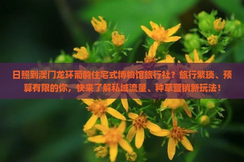 日照到澳门龙环葡韵住宅式博物馆旅行社？旅行繁琐、预算有限的你，快来了解私域流量、种草营销新玩法！