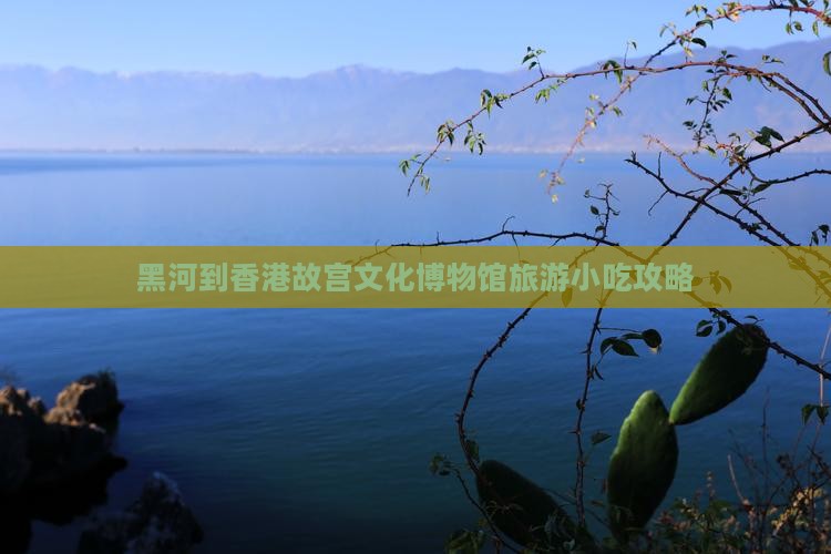 黑河到香港故宫文化博物馆旅游小吃攻略