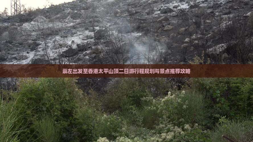 崇左出发至香港太平山顶二日游行程规划与景点推荐攻略