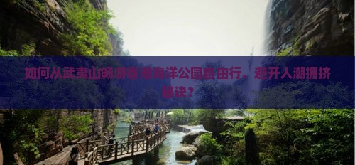 如何从武夷山畅游香港海洋公园自由行，避开人潮拥挤秘诀？