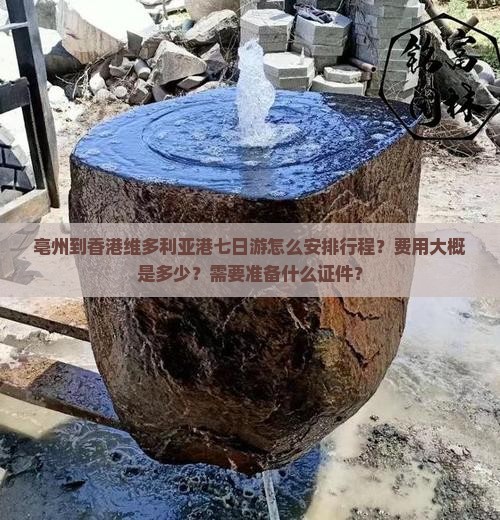亳州到香港维多利亚港七日游怎么安排行程？费用大概是多少？需要准备什么证件？