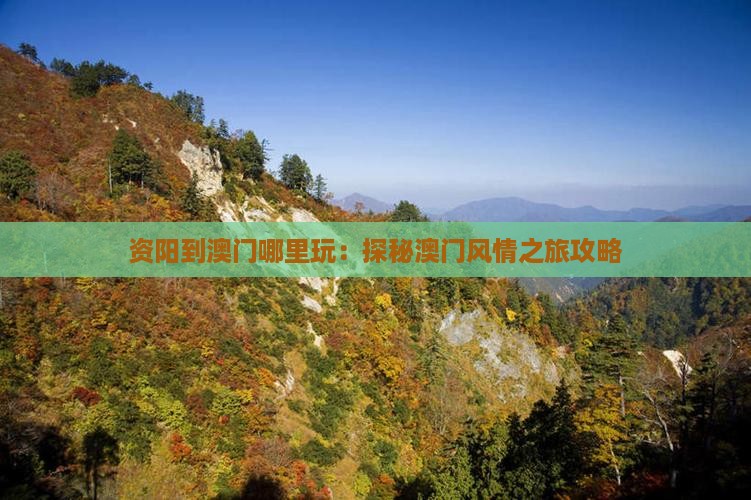 资阳到澳门哪里玩：探秘澳门风情之旅攻略