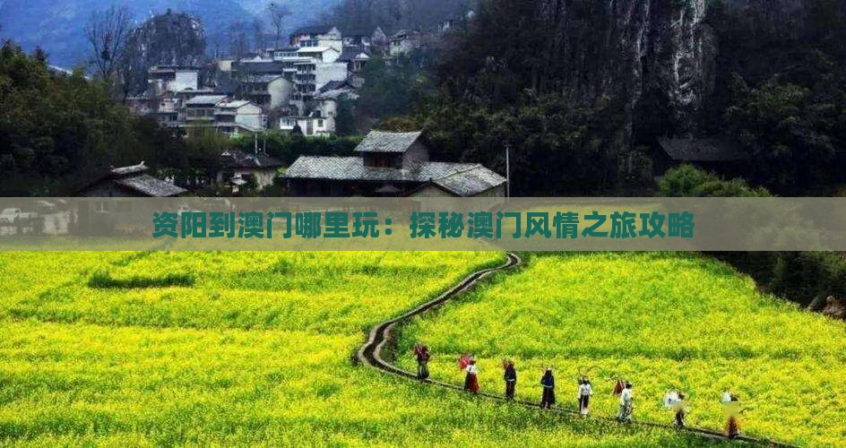 资阳到澳门哪里玩：探秘澳门风情之旅攻略