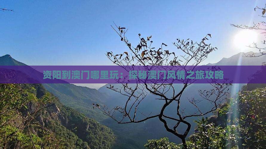 资阳到澳门哪里玩：探秘澳门风情之旅攻略
