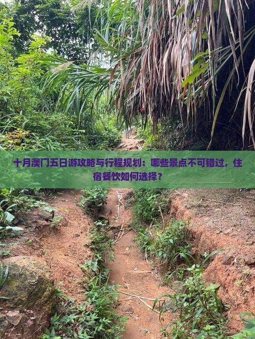 十月澳门五日游攻略与行程规划：哪些景点不可错过，住宿餐饮如何选择？