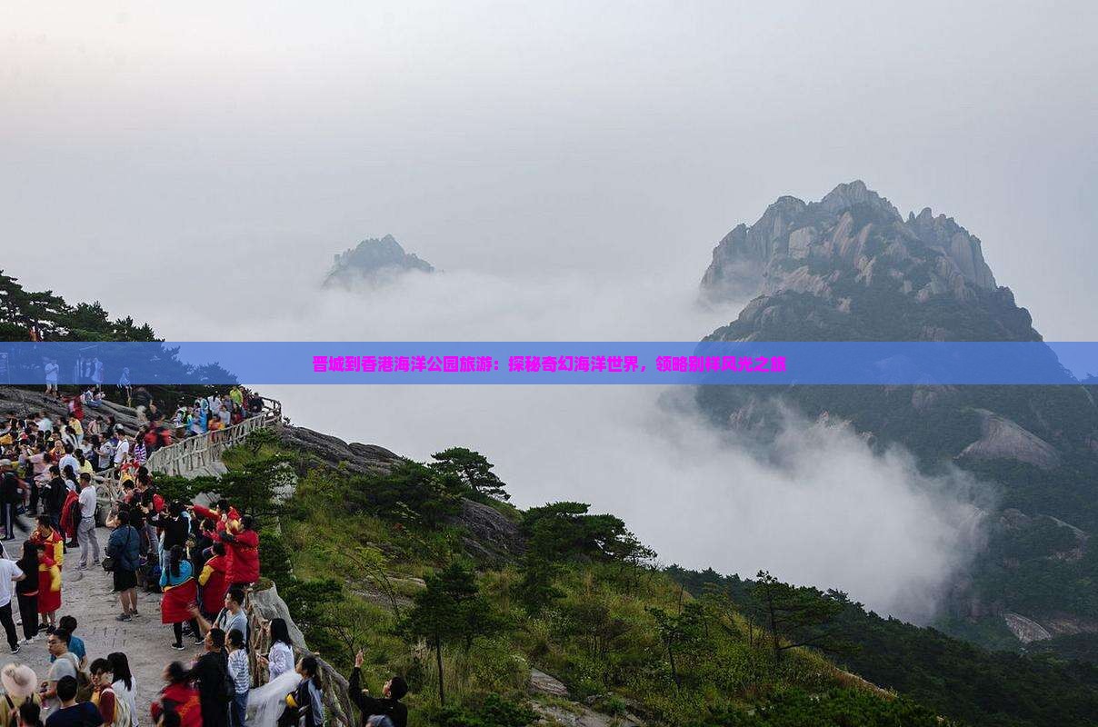 晋城到香港海洋公园旅游：探秘奇幻海洋世界，领略别样风光之旅