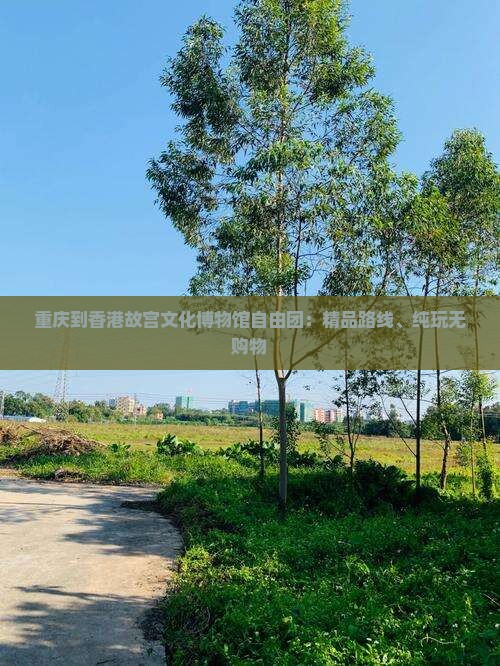 重庆到香港故宫文化博物馆自由团：精品路线、纯玩无购物
