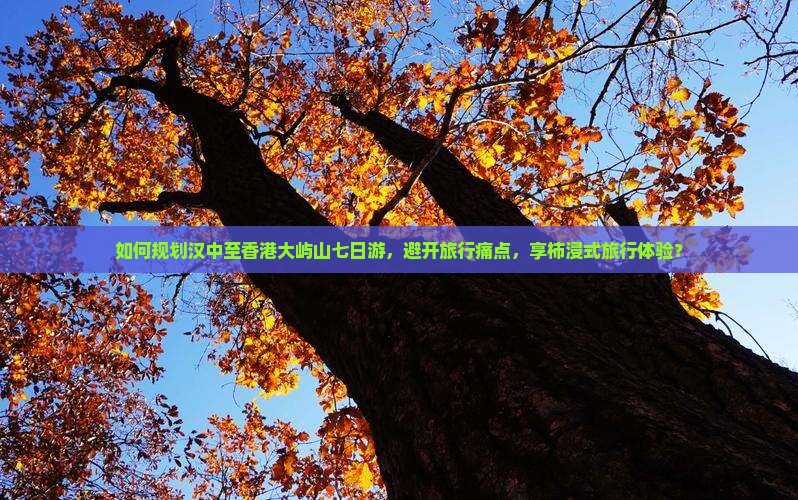 如何规划汉中至香港大屿山七日游，避开旅行痛点，享柿浸式旅行体验？