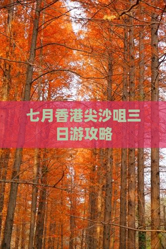 七月香港尖沙咀三日游攻略