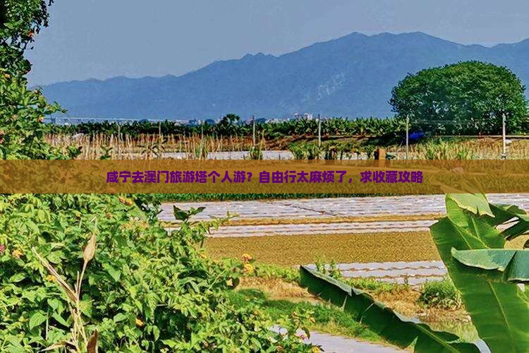 咸宁去澳门旅游塔个人游？自由行太麻烦了，求收藏攻略
