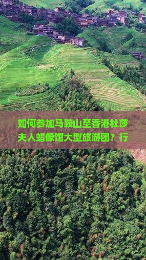 如何参加马鞍山至香港杜莎夫人蜡像馆大型旅游团？行程、费用及报名详情解析