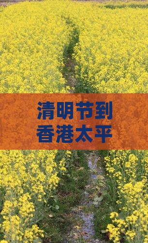 清明节到香港太平山顶旅游必尝特色小吃