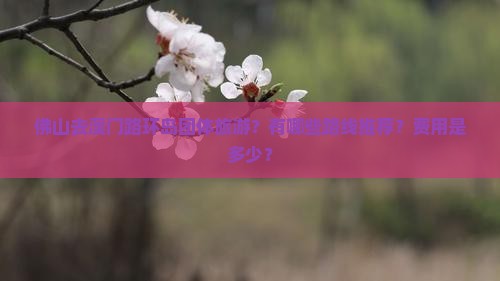 佛山去澳门路环岛团体旅游？有哪些路线推荐？费用是多少？