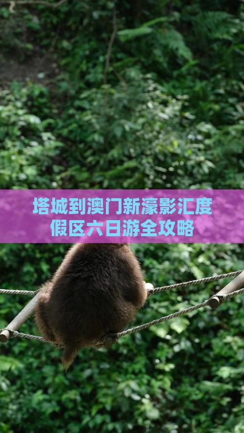 塔城到澳门新濠影汇度假区六日游全攻略