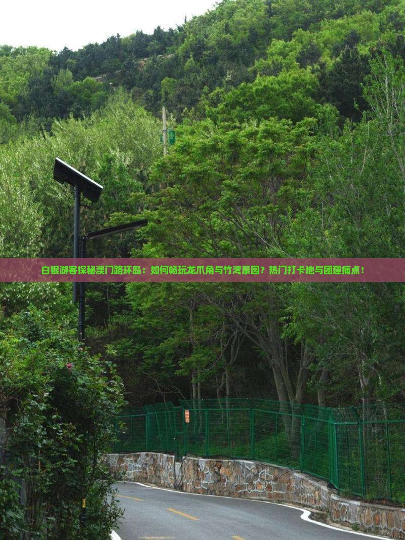 白银游客探秘澳门路环岛：如何畅玩龙爪角与竹湾豪园？热门打卡地与团建痛点！