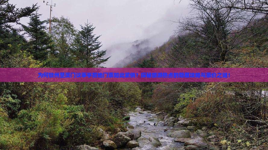 为何钦州至澳门议事亭前地门票如此紧俏?探秘旅游热点的隐藏攻略与票价之谜! 为何钦州至澳门议事亭前地门票如此紧俏?探秘旅游热点的隐藏攻略与票价之谜!