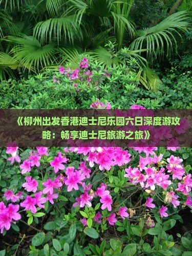 《柳州出发香港迪士尼乐园六日深度游攻略:畅享迪士尼旅游之旅》 《柳州出发香港迪士尼乐园六日深度游攻略:畅享迪士尼旅游之旅》