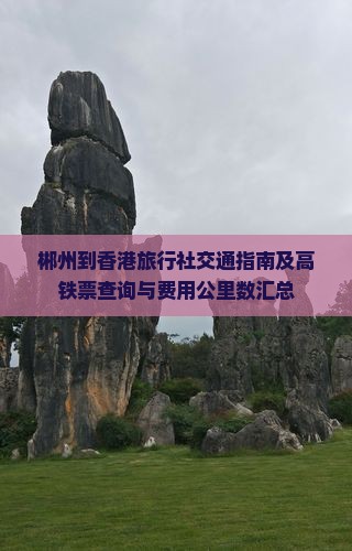 郴州到香港旅行社交通指南及高铁票查询与费用公里数汇总