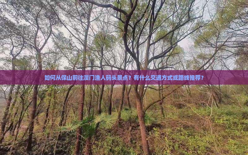 如何从保山前往澳门渔人码头景点？有什么交通方式或路线推荐？