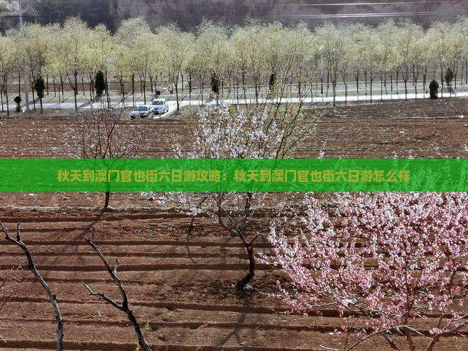 秋天到澳门官也街六日游攻略：秋天到澳门官也街六日游怎么样