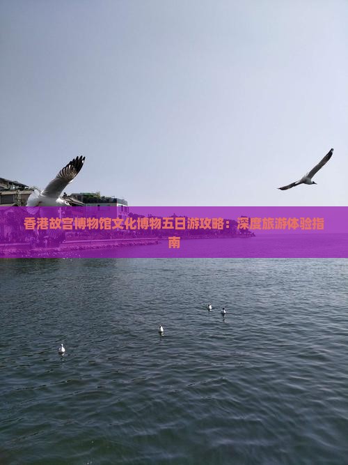 香港故宫博物馆文化博物五日游攻略：深度旅游体验指南