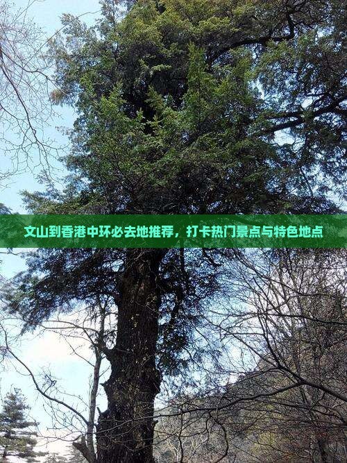 文山到香港中环必去地推荐，打卡热门景点与特色地点