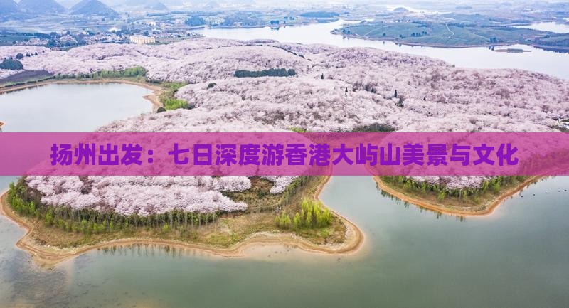 扬州出发：七日深度游香港大屿山美景与文化