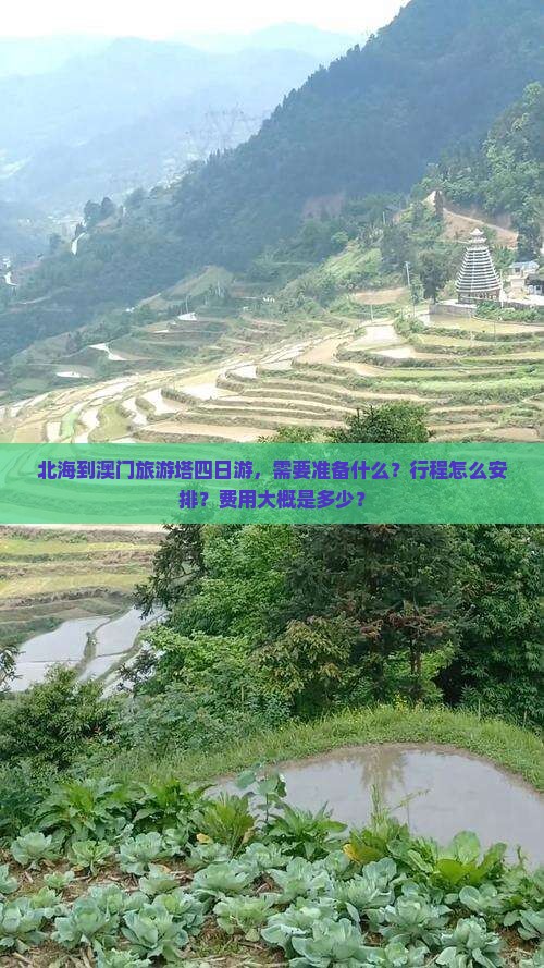 北海到澳门旅游塔四日游，需要准备什么？行程怎么安排？费用大概是多少？