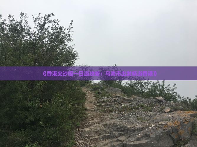 《香港尖沙咀一日游攻略：乌海市出发畅游香港》