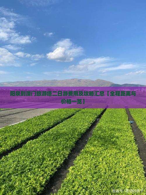 阳泉到澳门旅游塔二日游费用及攻略汇总【全程距离与价格一览】