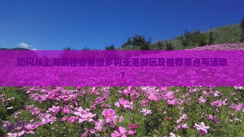 如何从上海前往香港维多利亚港游玩及推荐景点与活动？