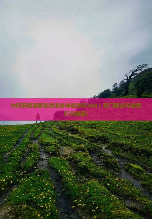 为何安顺游客赴香港必体验昂坪360？热门痛点与最新打卡秘籍！